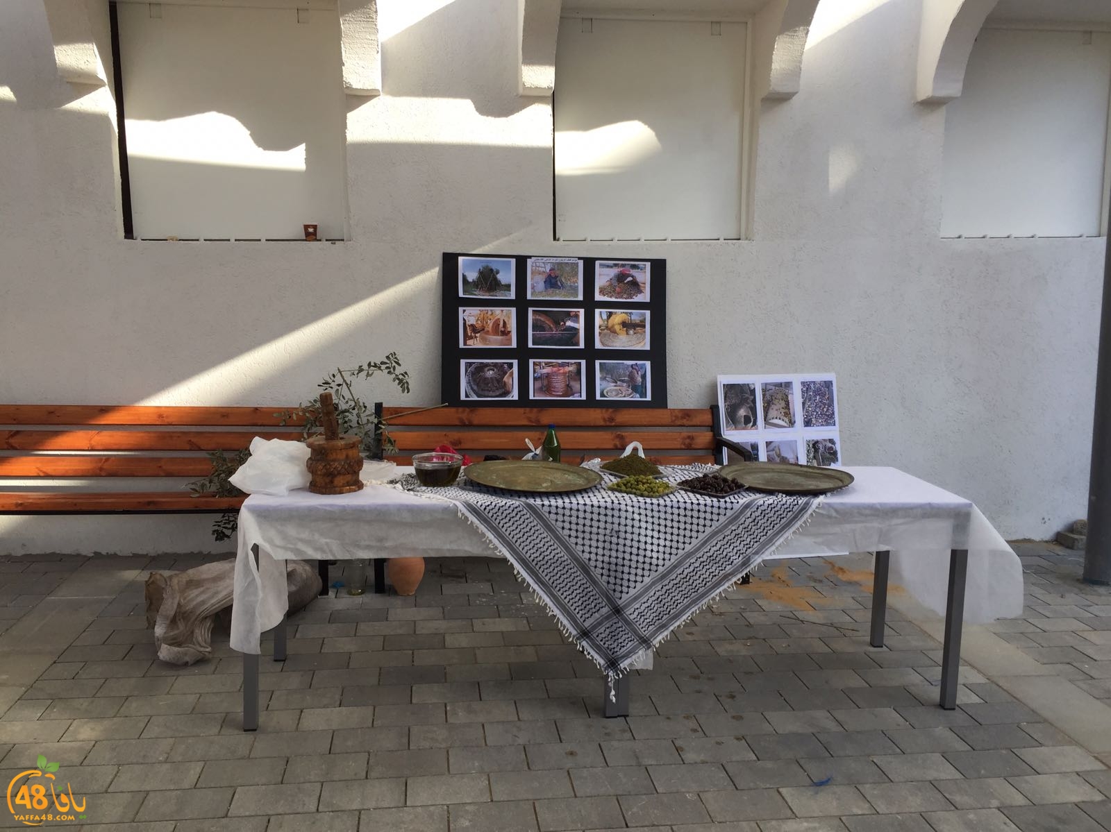 torath day yaffa mostqbal (10).jpeg